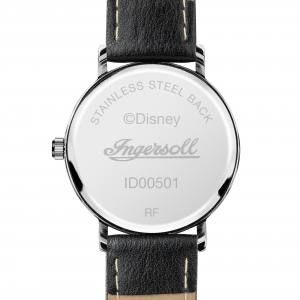 Ingersoll1892 ID00501 The Disney Ingersoll Union Aufnahme von Hi